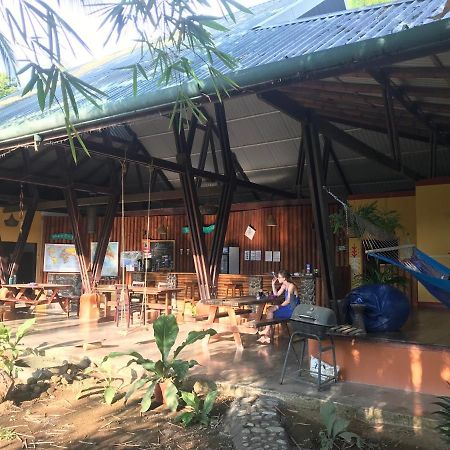 Luminosa Uvita Hostel المظهر الخارجي الصورة