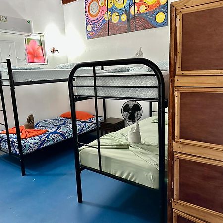 Luminosa Uvita Hostel المظهر الخارجي الصورة