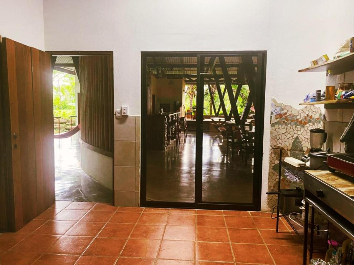 Luminosa Uvita Hostel المظهر الخارجي الصورة