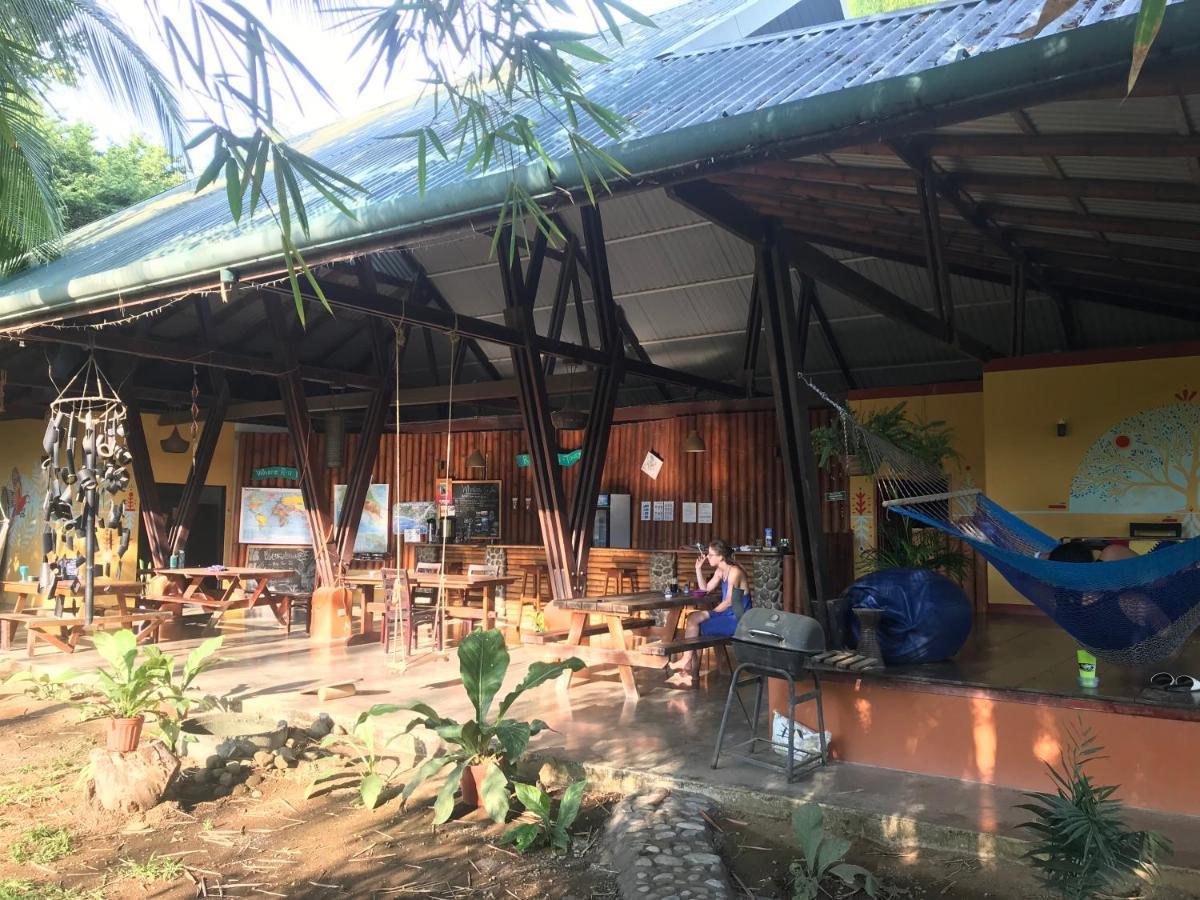 Luminosa Uvita Hostel المظهر الخارجي الصورة