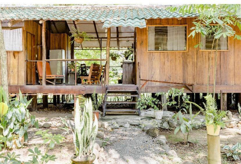 Luminosa Uvita Hostel المظهر الخارجي الصورة