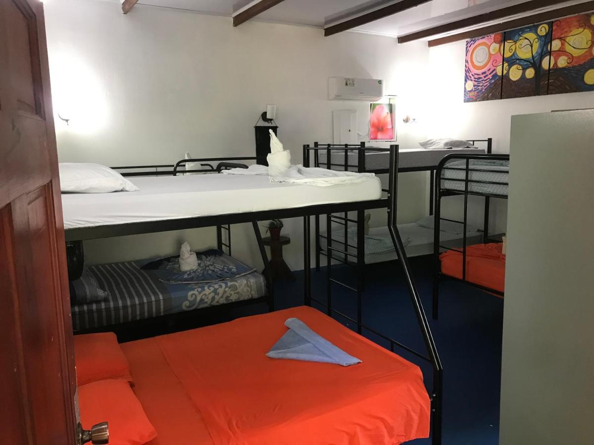 Luminosa Uvita Hostel المظهر الخارجي الصورة