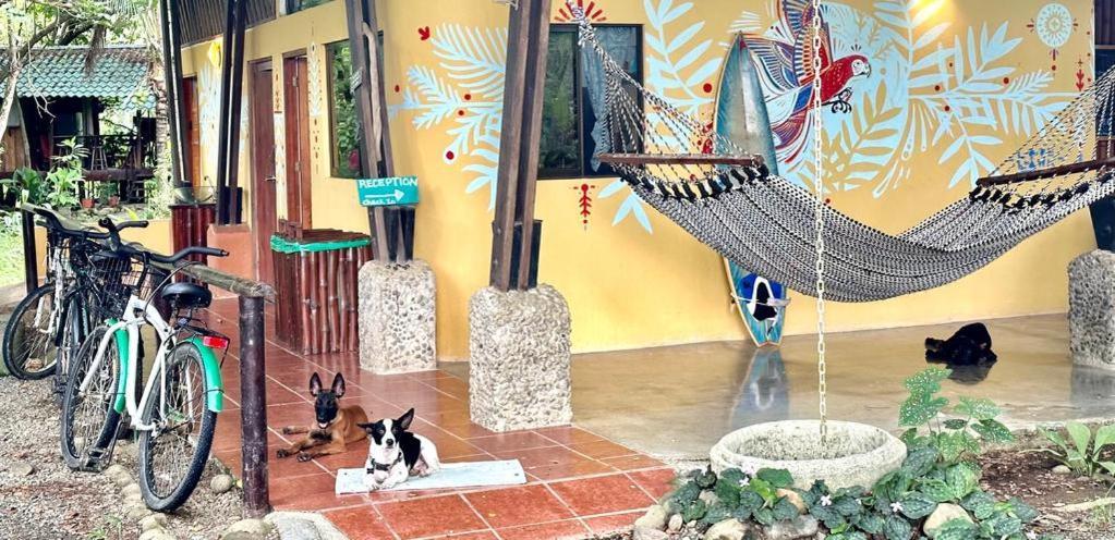 Luminosa Uvita Hostel المظهر الخارجي الصورة