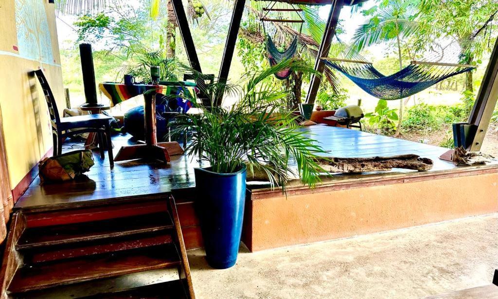 Luminosa Uvita Hostel المظهر الخارجي الصورة