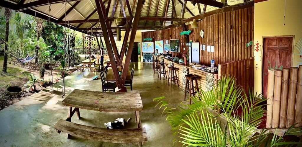Luminosa Uvita Hostel المظهر الخارجي الصورة