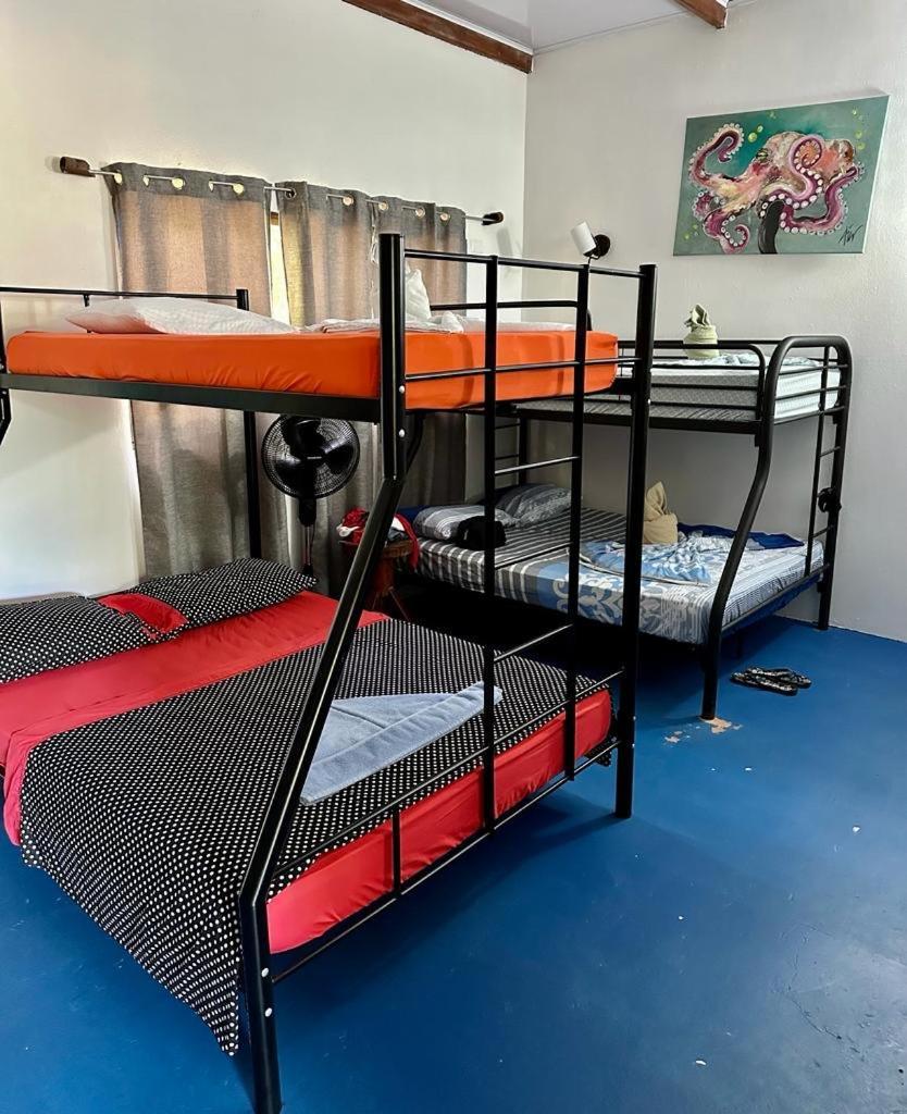 Luminosa Uvita Hostel المظهر الخارجي الصورة