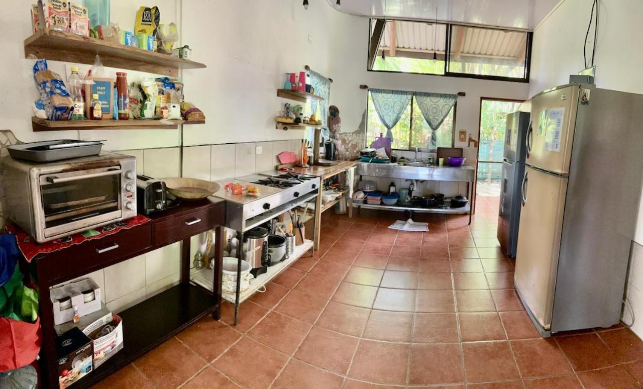 Luminosa Uvita Hostel المظهر الخارجي الصورة